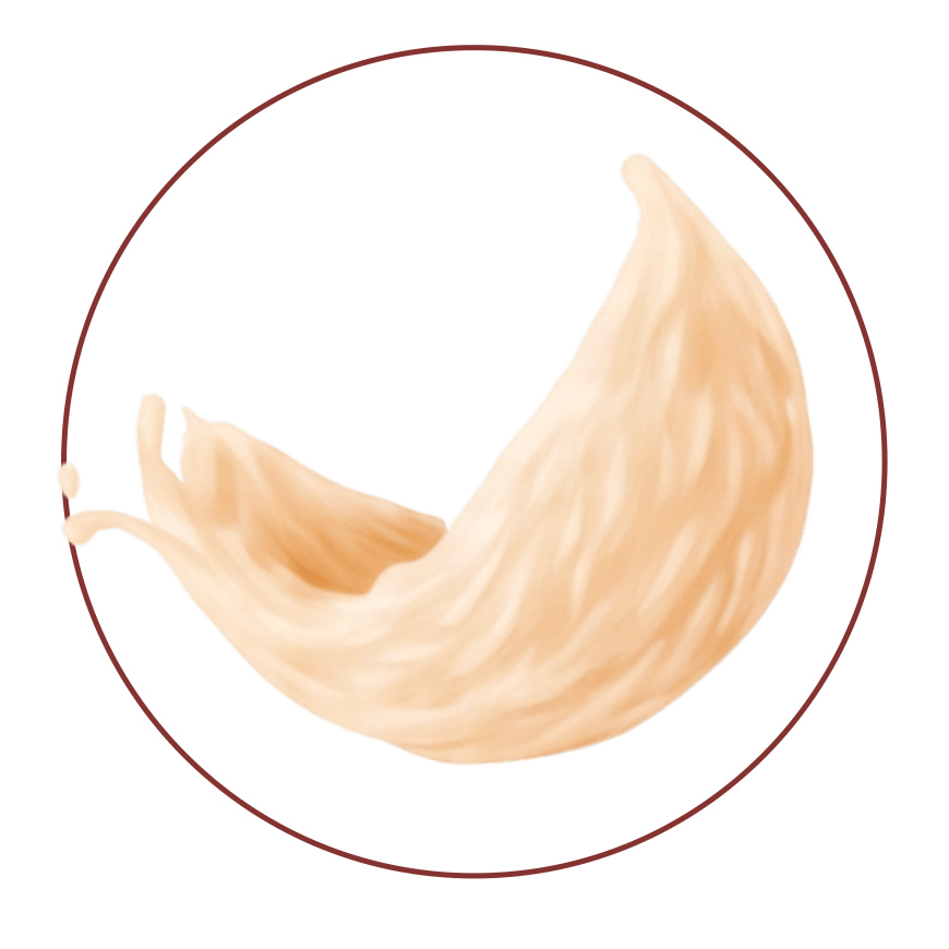 Home Birdnest yang digunakan khusus sebagai bahan baku Oribroth kaya akan kandungan Asam Sialat (Sialic Acid) dan EGF