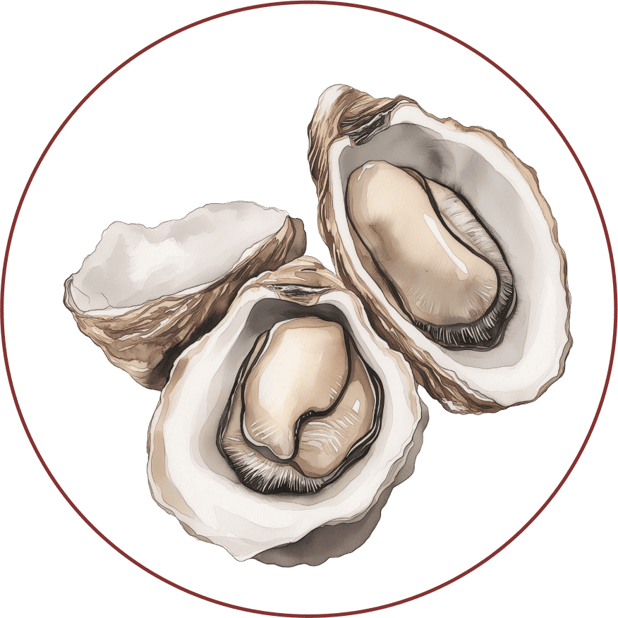 Home Oyster yang digunakan khusus sebagai bahan baku Oribroth kaya akan kandungan Zinc, Vitamin B12, Copper