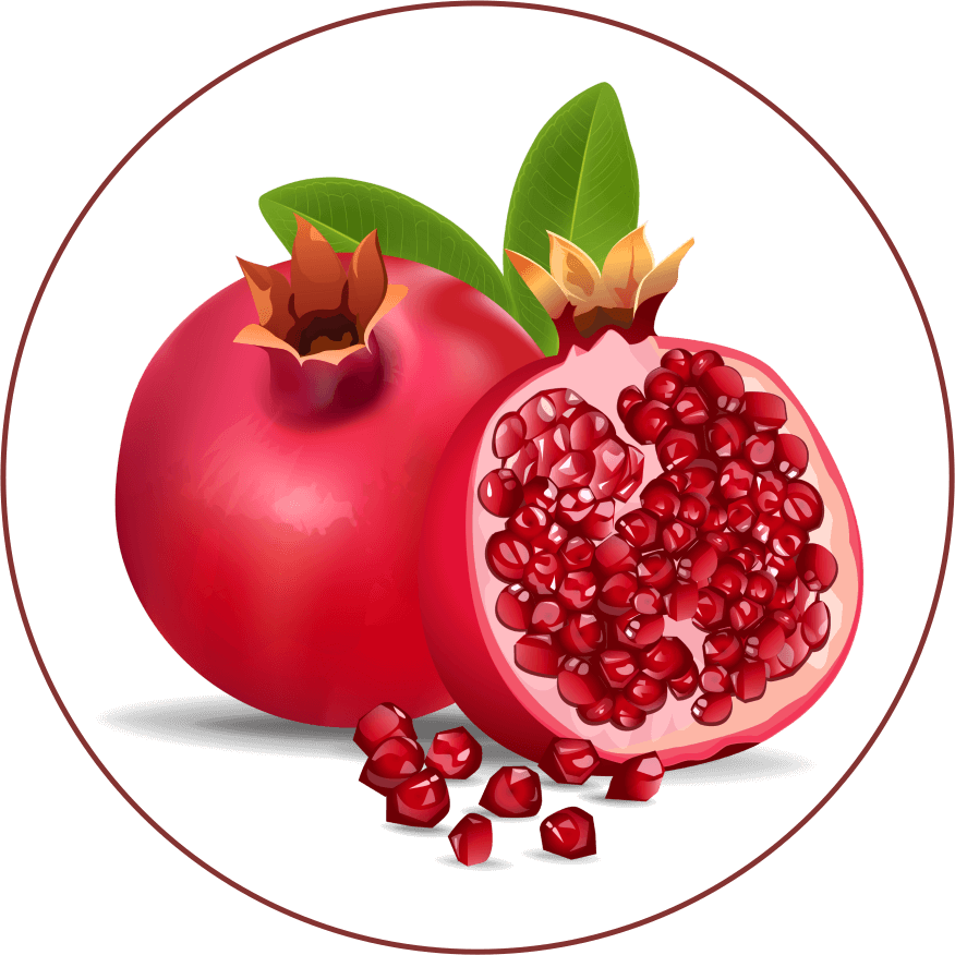 Home Pomegranate yang digunakan khusus sebagai bahan baku Oribroth kaya akan kandungan Ellagic Acid, Punicalagins, Vitamin C
